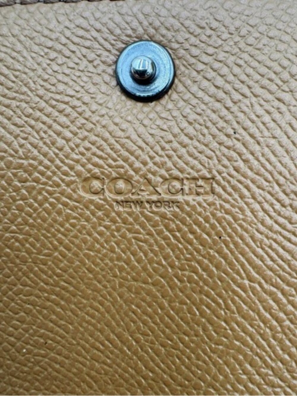 Coach Panda Bear Small Snap Wallet GUC - Picture 8 of 8